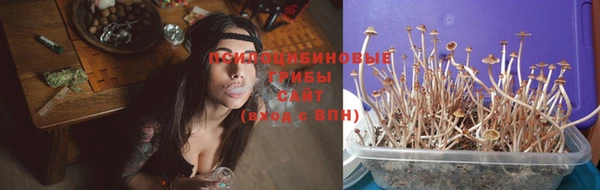 гидропоника Абаза